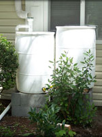 Rain Barrel Install, Front Yard, Salem, Oregon